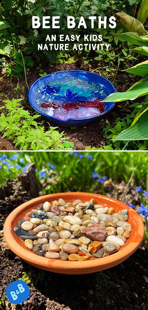 Two different kinds of DIY bee baths sitting in foliage outdoors Bee Baths, Bee Watering Station, Water For Bees, Bee Bath, Nature Activity, Diy Bee, Keeping Bees, Diy Water Feature, Bee Friendly Garden