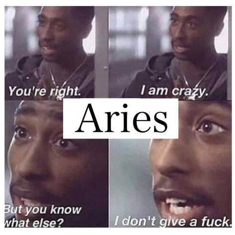 Scorpio Meme, Taurus Zodiac Quotes, Aries Funny, Taurus Memes, Virgo Memes, Aries And Scorpio, Taurus And Scorpio, Taurus Zodiac Facts, Taurus Quotes