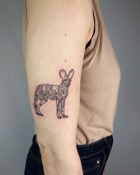 African wild dog for Sarah. I love these cute amazing wild dogs sooooo much! 🖤 Springbok Tattoo South Africa, African Wild Dog Sketch, African Painted Dog Tattoo, Zoo Tattoo Ideas, African Wild Dog Tattoo, African Wild Dog Art, Wild Dog Tattoo, Wild Life Tattoos, Beaver Tattoo