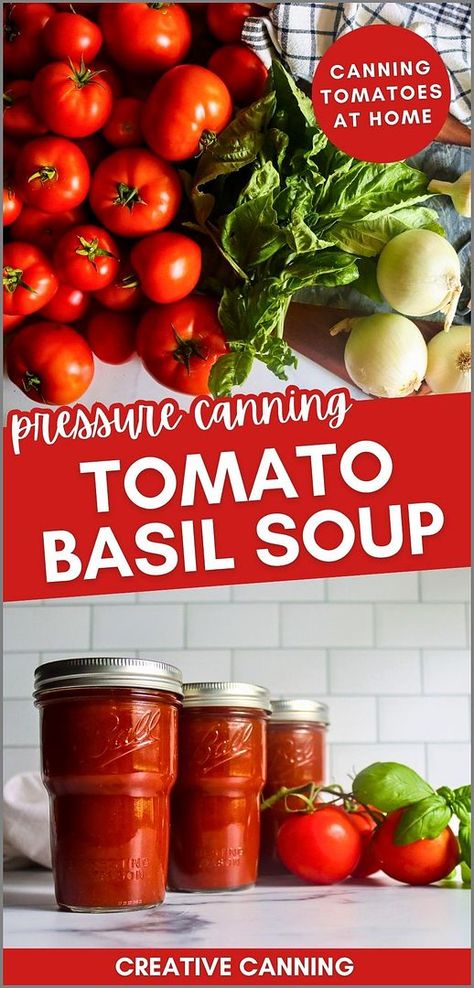 Learn pressure canning tomato basil soup for a cozy fall treat. Made with fresh plum tomatoes, garlic, onions, and basil, this homemade soup is perfect for preserving summer's bounty to enjoy on chilly autumn days. Serve it with grilled cheese for the ultimate comfort meal. Find more easy tomato soup recipes, homemade soup recipes, cozy fall soups, and Pressure Canning Soup Recipes at creativecanning.com. Homemade Tomato Basil Soup For Canning, Canned Tomatoes Soup, Tomato Soup To Can, Tomato Basil Soup For Canning, Canning Tomato Recipes, Pressure Canning Tomatoes, Tomato Canning Recipes, Tomato Preserves Recipe, Canning Tomato Soup