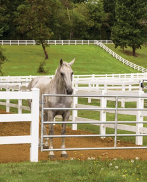 Pasture Fencing, Horse Paddock, Horse Farm Ideas, Horse Corral, Paddock Paradise, Barrel Racing Saddles, Horse Barn Plans, Horse Fencing, Horse Halters