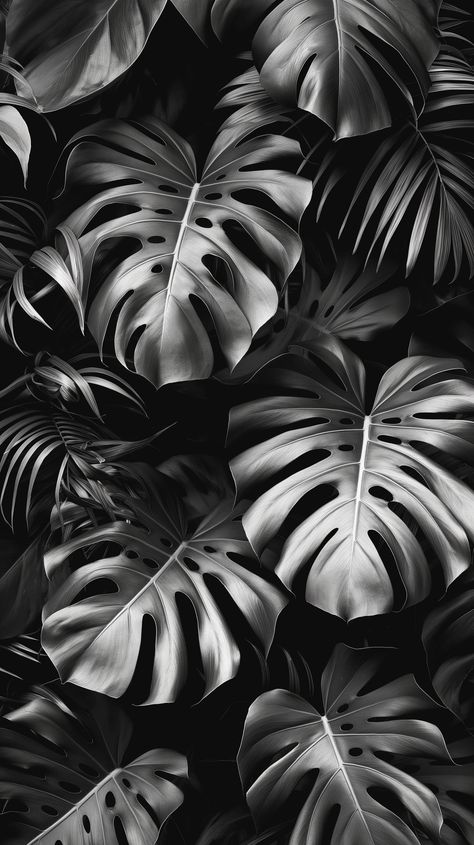 Monstera Photography, Clay Tattoo, Black And White Plants, Wallpaper Frame, Nature Black And White, Design For Tattoo, Animal Photography Wildlife, Aesthetic Widgets, Leaf Outline