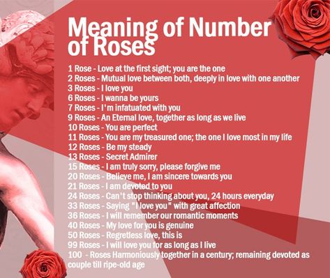 Bouquet Meaning, Rose Color Meanings, Rose Meaning, Roses Tattoo, Flower Guide, Flower Meanings, Roses Bouquet, One Rose, Color Meanings