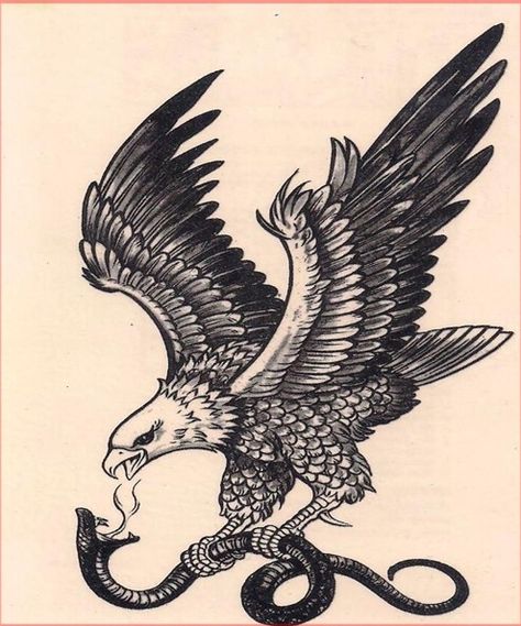 Vintage eagle and snake Japanese Raven Tattoo, Japanese Crow Tattoo, Snake Eagle Tattoo, Japanese Bird Tattoo, Eagle And Snake Tattoo, Nordic Raven Tattoo, Raven Drawing, Black Crow Tattoos, Eagle And Snake