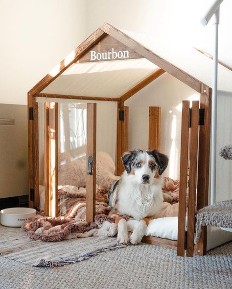 Pet Spaces In Home, Dog Bedrooms In House, Dog Bedrooms, Dog Bed Inspiration, Dog Crate Ideas, Bed Under Stairs, Cat Mansion, Bed Inspiration, Wood Dog House