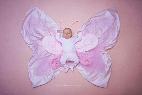 Butterfly Themed Photoshoot, Hanging Butterfly Photoshoot, Butterfly Theme Baby Photoshoot, Butterfly Photoshoot, Purple Butterfly Maternity Shoot, Butterfly Newborn Pictures, Butterfly Themed Newborn Photoshoot, 2 Month Baby, Photo Bb