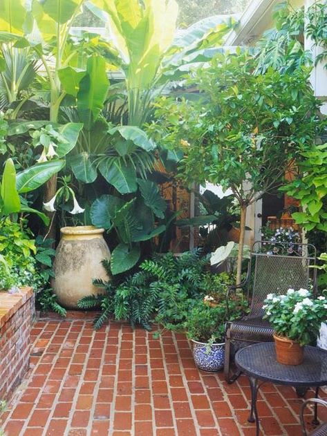 Metal table and chairs Wee blue-and-white pot Hidden mirror Red brick patio  How to Make Your Garden Lush! | The Garden Glove Small Patio Design, Brick Patio, Small Courtyard Gardens, Tropical Backyard, Courtyard Gardens Design, Small Patio Garden, Patio Plants, Have Inspiration, Brick Patios