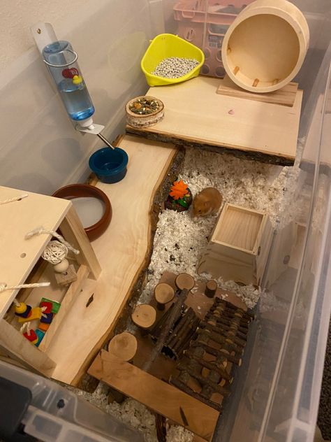 Diy Bin Hamster Cage, Hamster Bin Cage Aesthetic, Dig Box For Hamster, Kandang Hamster, Hamster Diy Cage, Plastic Bin Hamster Cage, Hamster Diy, Syrian Hamster Bin Cage, Hamster Bedding