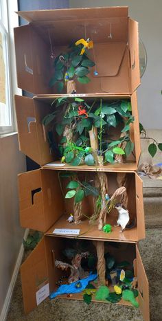 Rainforest layers Model Shoe Box Rainforest Project, Rainforest Project Ideas, Rainforest Ecosystem Project Ideas, Ecosystem Diorama Project, Whale Diorama, Rainforest Model, Biome Project Ideas, Animal Habitat Project, Tea Shoes