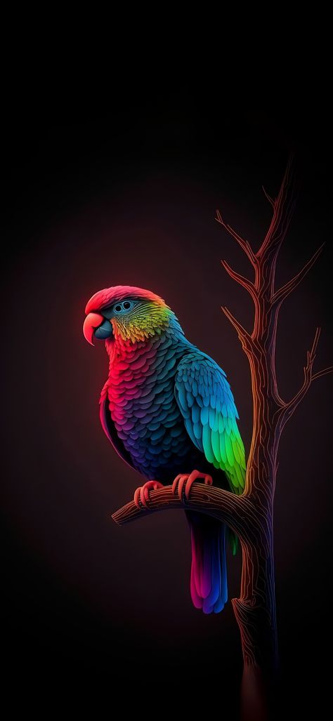 Parrot Wallpaper, Hd Flower Wallpaper, Iphone Wallpaper Lights, Android Wallpaper Art, Iphone Wallpaper Stills, Iphone Wallpaper Video, Education Technology, Iphone Wallpaper Hd Nature, Android Wallpaper Flowers