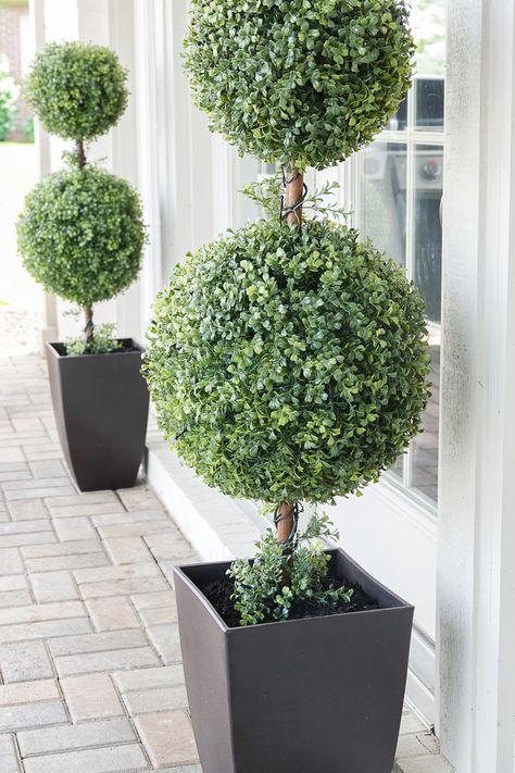 The best outdoor topiaries  #topiairies #outdoortopiaries #pottedtopiaries #poolpatio #patiodecor #outdoordecor Boxwood Topiary Front Porch, Topiary Front Porch, Porch Topiary, Faux Outdoor Plants, Fall Container Plants, Outdoor Topiary, Topiary Diy, Topiary Tree, Porch Plants