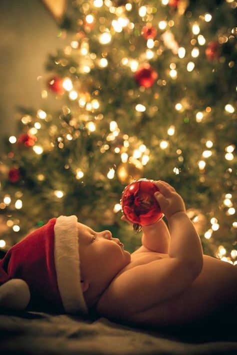 Holiday Baby Pictures, Vom Avea Un Copil, Baby Christmas Photography, Photo Bb, Christmas Baby Pictures, Baby Milestones Pictures, Baby Christmas Photos, Xmas Photos, Christmas Pics