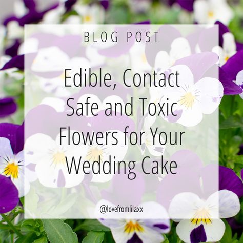 The (Almost) Complete Edible, Food-Safe or Toxic Flower List Dangerous Flowers, Coriander Flower, Dragon Wedding Cake, Flower List, Wedding Cake Decorating, Grazing Platter, Edible Flowers Cake, Dragon Wedding, List Of Flowers