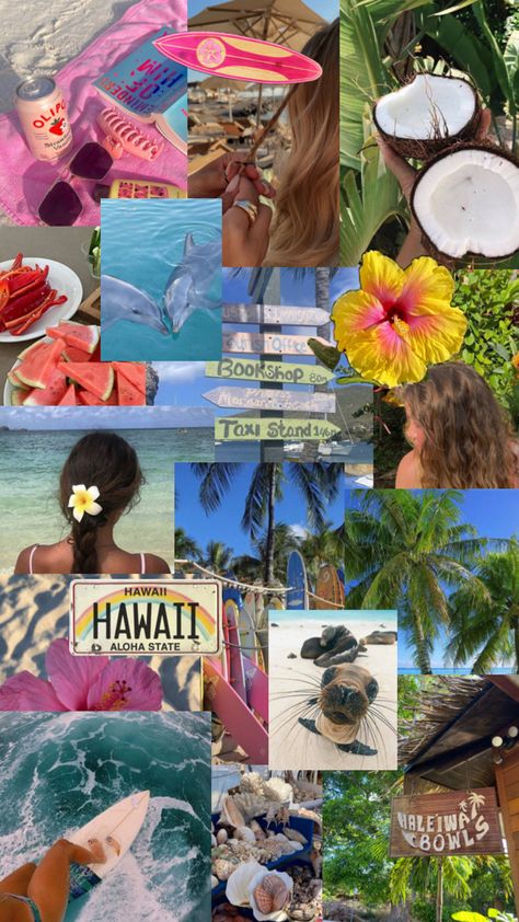 coconut girl 🥥 Coconut Girl Collage, Hawaiian Aesthetic, Coconut Girl, Hawaii, Surfing, Coconut, Collage, Iphone