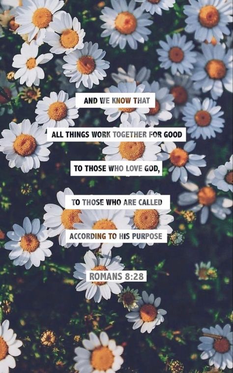 Christian Wallpaper Iphone Scriptures, Romans 8 28 Wallpaper, Romans 8:28, Aw Tozer, Hope Floats, Scripture Wallpaper, Bible Things, Bible Verse Background, Saint Quotes Catholic