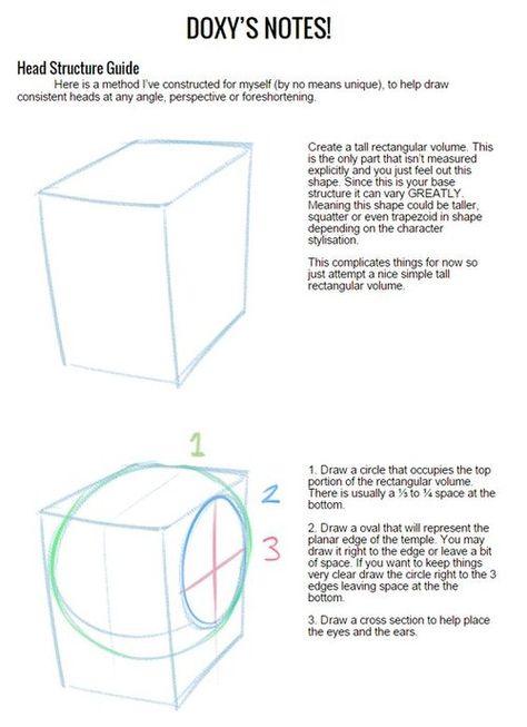 Doxy Tutorial, Head Structure Drawing, Human Gesture, Ayami Kojima, Head Structure, Drawing The Human Head, Illustration Tips, Head Anatomy, Drawing Anatomy