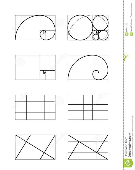 Dynamic Composition Illustration, Harmony Composition, Math Circle, Circle Composition, Golden Ratio Art, Golden Ratio In Design, Golden Ratio Logo, Harmony Design, Dynamic Lines