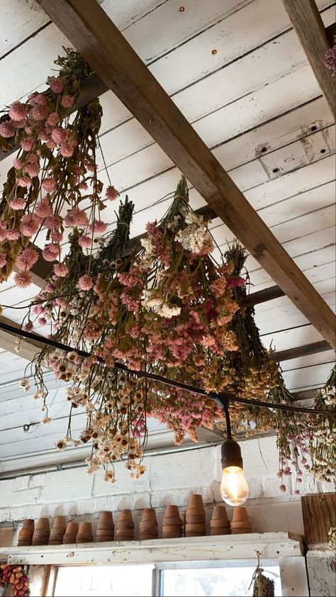 Dried floral bouquets, hung in bunches from an antique ladder in the potting shed, lights strung from the ceiling, beautiful fall decor and ambience. Stand out, unique style and business. Ladder Lights Hanging, Hanging Ladder From Ceiling, Wooden Ladder Decor, Dried Floral Decor, Antique Ladder, Hanging Ladder, Flower Ceiling, Old Ladder, Fall Florals