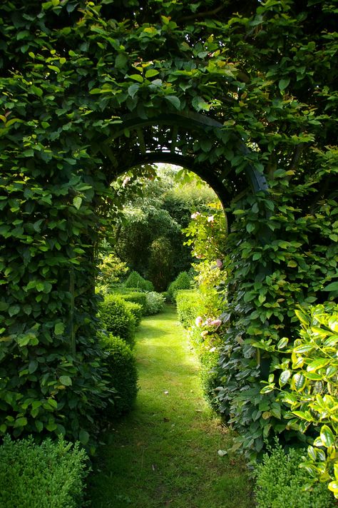 Entrance Garden Ideas, Box Gardens, Wild Flower Garden, Westbury Gardens, Entrance Garden, Hidden Garden, Garden Arches, Flower Garden Design, Flower Company