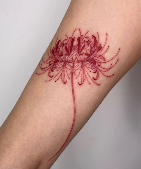 @tattooist_monday on insta Spider Lily Tattoo, Dragon Tattoo Stencil, Red Flower Tattoos, Phoenix Tattoo Feminine, Red Tattoo Ideas, Lillies Tattoo, Red Spider Lily, Red Tattoo, Spider Lily