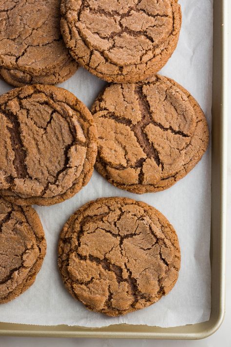 Few things get me more excited than when I walk into a new bakery only to discover that among their line up of gorgeous baked goods, they have giant, chewy ginger cookies for sale. That probably sounds a bit strange to a few of you – that I could get so excited over something as … Pumpkin Chip Cookies, Chewy Ginger Cookies, Crackle Cookies, Pumpkin Chip, Ginger Molasses Cookies, Giant Cookie, Big Cookie, Molasses Cookies, Ginger Snap Cookies