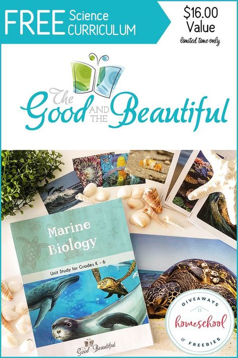 If you are studying marine biology or sea creatures in your homeschool or you plan to in the future, you will want to grab this FREE Marine Biology Unit Study for grades k-6 that will be priced at $16 soon. #biology #lesson  #kids #teaching Educational Websites For Kids, Teaching Us History, Homeschooling Curriculum, Social Studies Education, Ocean Unit, American History Lessons, Homeschool Lesson Plans, Ocean Science, Education Science