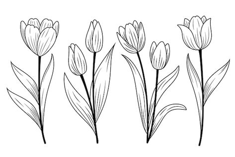 Tulip Flower Drawing Simple, Tulips Line Drawing, Tulip Sketch Simple, Simple Tulip Drawing, Tulip Drawing Simple, Tulips Line Art, Tulip Embroidery Pattern, Tulip Line Drawing, March Doodles