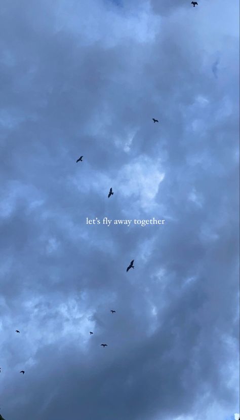 Sky with birds flying 📍Bangalore Birds Flying In The Sky Aesthetic Caption, Bangalore Captions, Birds Quotes Flying, Sky With Birds, Birds Flying In The Sky, Crow Flying, Cloud Quotes, Sky Zone, Sky Quotes