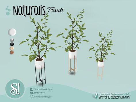 The Sims Resource - Naturalis Office plant 3 Sims 4 Mac, Outdoor Columns, Sims 4 Kitchen, Cc Sims4, Sims 4 Cc Kids Clothing, Sims Packs, Sims 4 Clutter, Pelo Sims, Casas The Sims 4