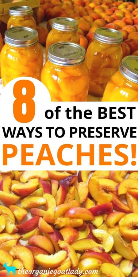 8 Ways to Preserve Peaches - The Organic Goat Lady Preserving Peaches Canning Recipes, Canning Peaches Recipes, Preserve Peaches, Peaches Dessert, Peach Preserves Recipe, Freezing Peaches, Peach Freezer Jam, Backyard Homesteading, Fresh Peach Recipes