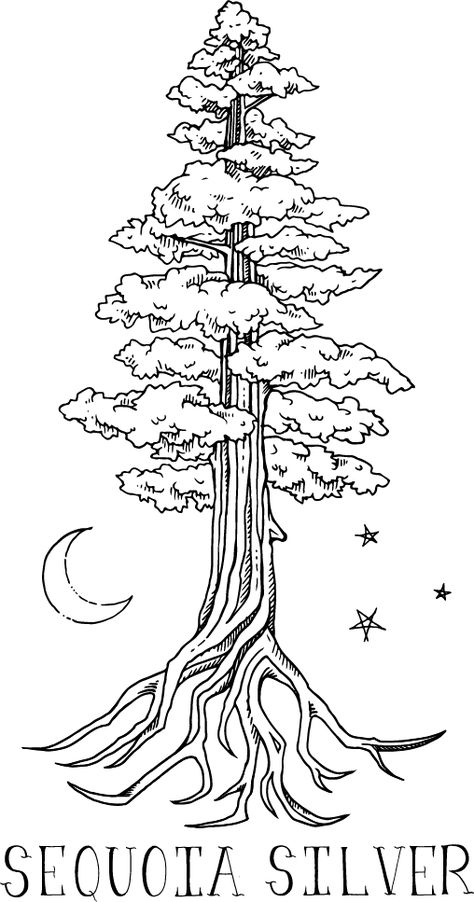 Sequoia Silver Handcrafted Jewelry Redwood Tree Drawing Simple, Sequoia Tree Art, Sequoia Tree Illustration, Sequoia Tree Tattoo Simple, Sequoia Drawing, Sequoia Tree Drawing, Redwood Drawing, Sequoia Tattoo, Sequoia Tree Tattoo