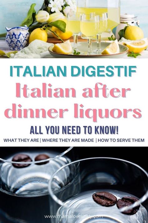 Italian digestif drinks: all you need to know about Italian after dinner drinks | Mama Loves Italy Italian After Dinner Drinks, Digestif Drinks, Digestive Drinks, Italian Digestif, Tucci Recipes, After Dinner Cocktails, Lemon Themed Bridal Shower, Italian Drinks, Italian Night