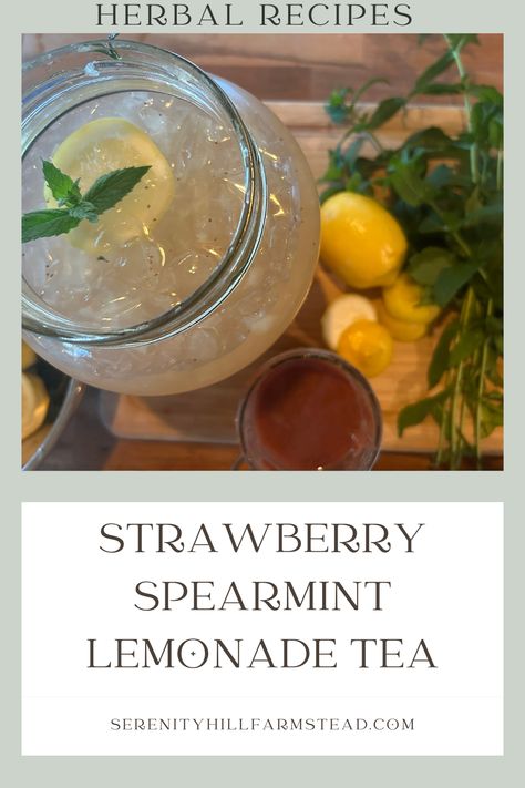 Jar of lemonade with mint and lemons Fresh Spearmint Recipes, Spearmint Iced Tea, Iced Spearmint Tea, Iced Spearmint Tea Recipe, Spearmint Tea Recipe, Herbal Lemonade, Spearmint Recipes, Herb Teas, Iced Herbal Tea