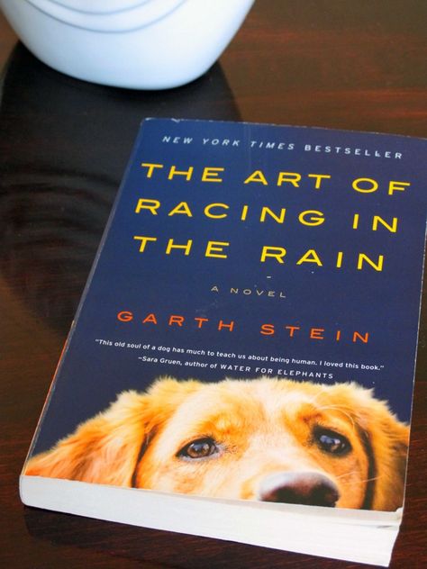 the art of racing in the rain Racing In The Rain, Tell Me A Story, Running In The Rain, Water For Elephants, To Be Read, Old Soul, I Passed, The Crazy, Book Authors