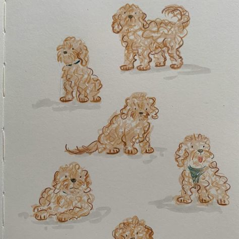 Goldendoodle Sketch Simple, Goldendoodle Cartoon Drawing, Simple Dog Doodle, Golden Doodle Embroidery, Cockapoo Sketch, Golden Doodle Illustration, Golden Doodle Cartoon, Christmas Drawing Sketch, Cavapoo Drawing