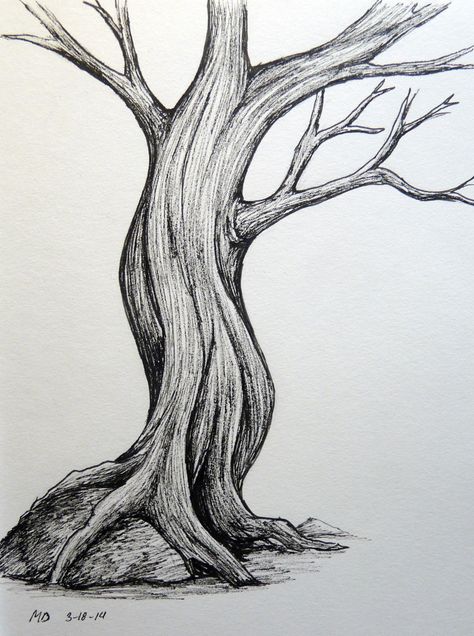 Big Tree Drawing, Tree Drawings Pencil, Pencil Trees, Simple Tree, Tree Sketches, Background Drawing, Nature Drawing, Tree Illustration, Pencil Art Drawings