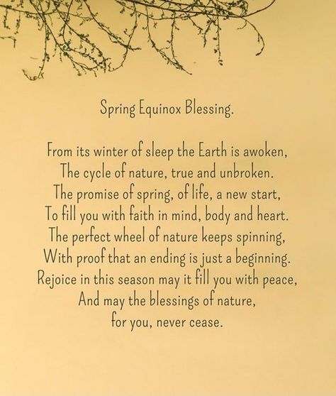 Phoenix Rising and Thriving News On Tv, Yoga Meme, Spring Poem, Good Morning My Friend, Spring Quotes, Spiritual Journals, Inspirational Words Of Wisdom, Vernal Equinox, Phoenix Rising