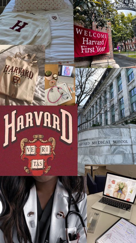 Harvard Medical School, Medical School, Medical, Collage