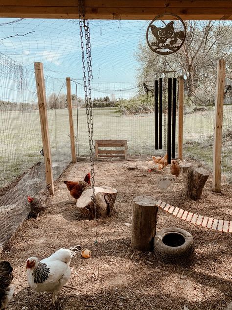 Farmhouse Coop, Chicken Coop Pictures, Chicken Coop Fenced In, Coop Inside Ideas, Farmhouse Garden Decor Ideas, Luxury Chicken Coop Interior, Chook Run Ideas, Outdoor Chicken Coop Ideas, Indoor Outdoor Chicken Coop