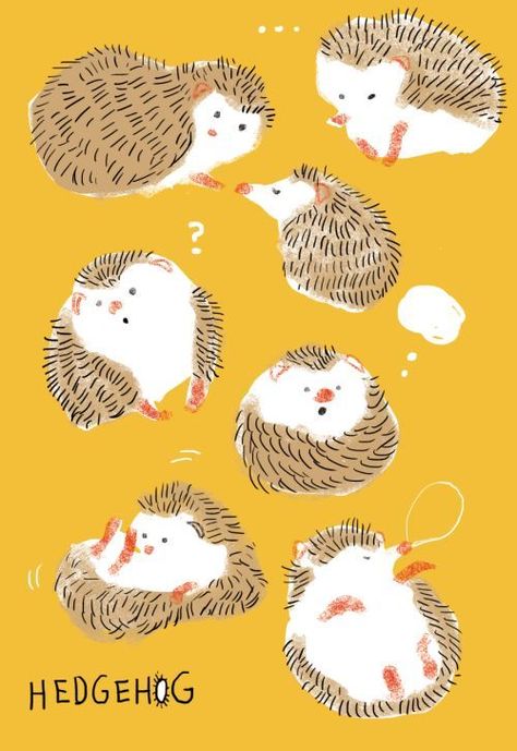 Hedgehog Drawing, Hedgehog Illustration, Animal Creatures, Simple Character, How To Draw Animals, Draw Animals, Drawing Animals, Cute Hedgehog, Nature Drawing