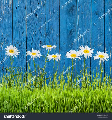 Garden Fence Art, Flower Duvet Cover, Garden Mural, Flower Duvet, Grass Flower, Deco Nature, Fence Art, Walled Garden, Fence Paint