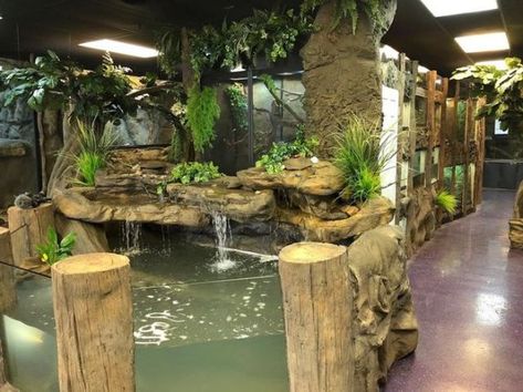 Zoo Reptile House, Cool Reptile Enclosures, Reptile House Zoos, Planet Zoo Reptile House, Reptile Enclosure Ideas, Reptile Room Ideas, Iguana Enclosure, Reptile Rack, Reptile Tanks