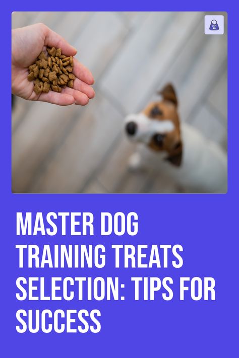 dogs, pets, dog treats, training treats How To Train Dogs, Train Dogs, Dogs Tips, Dog Training Treats, Stomach Problems, Tips For Success, Best Dog Training, Human Food, Training Treats