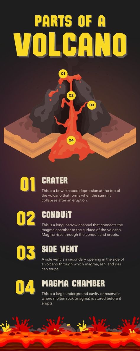 Volcano Infographic, Parts Of A Volcano, Canva Infographic, Educational Infographic, Resume Maker, Photo Collage Maker, Gas Cans, Venn Diagram, Marketing Logo