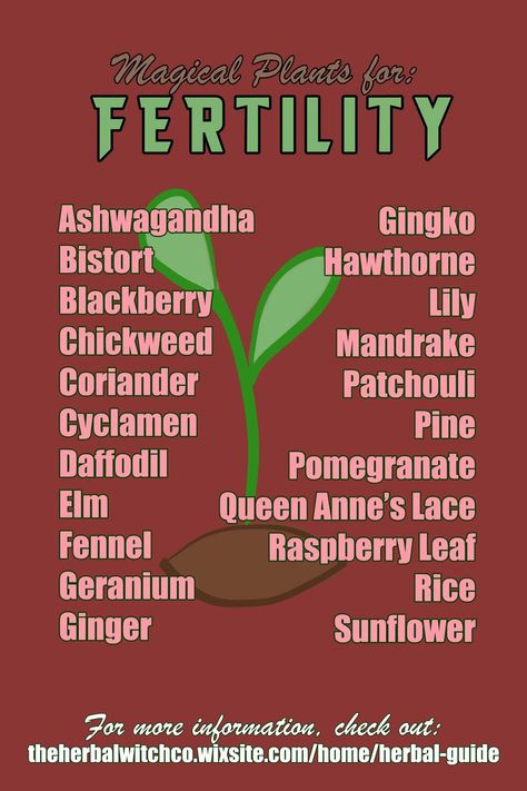 Herb Correspondences, Plants And Their Uses, Pregnancy Herbs, Herbs For Fertility, Pregnancy Spells, Magical Plants, Fertility Spells, Fertility Help, Herbal Remedies Recipes