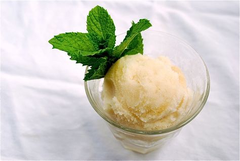 Aqua Fresca Recipes, Wine Club Ideas, Fresca Recipes, Supper Club Recipes, Christmas In Summer, Aqua Fresca, Corn Allergy, Mint Sorbet, Homemade Sorbet