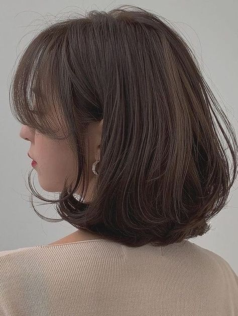 Korean fall hair color: ash brown short hair Korean Hair Color Shorthair, Korean Fall Hair Color, Ash Brown Short Hair, Healthy Short Hair, Korean Brown Hair, Hair Color Ash Brown, Japanese Hair Color, Brown Hair Korean, Hair Color Ash