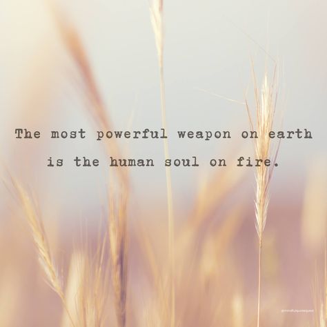 🔥 When passion ignites your spirit, there's nothing you can't achieve. 🌟 Fuel your dreams, chase your goals, and let your inner fire lead the way. 🚀 Every great achievement starts with a spark. 💥 What sets your soul on fire? What drives you to be your best self? Share your passions and aspirations in the comments! 👇💬 Let's light up the world together! 💖 #soulonfire #igniteyourpassion #chaseyourdreams #findyourfire #livewithpurpose #inspirationdaily #motivatedmindset #drivenanddetermined ... Soul On Fire Quotes, On Fire Quotes, Sets Your Soul On Fire, Fire Quotes, Be Your Best Self, Live With Purpose, Soul On Fire, Your Best Self, Chase Your Dreams