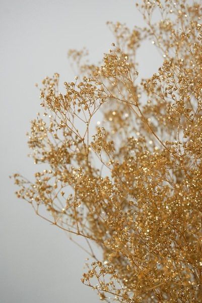 Wallpaper Girly, Gold Aesthetic, Gold Background, Gold Wallpaper, Gold Baby, Aesthetic Colors, Baby's Breath, Gold Walls, Brown Aesthetic