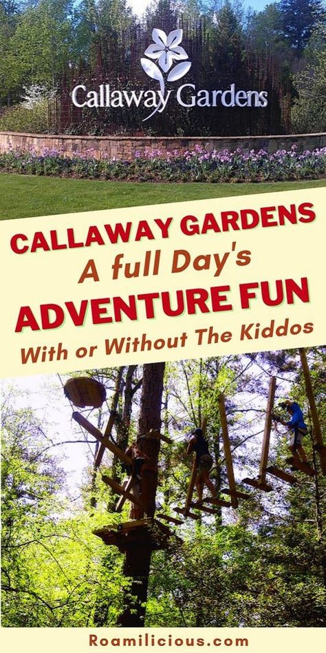 Fun things to do at Callaway Gardens - Have you checked out Callaway Gardens in Pine Mountain, Georgia lately? You can have a full day's adventure fun here with the Treetop Adventure, Butterfly Garden, touring the garden on bicycle, gorgeous Christmas Light displays and much more. #callawaygardens #pinemountain #georgia #georgiatravel #visitgeorgia #USAtravel #adventuretravel Pine Mountain Georgia, Callaway Gardens, Mountain Trip, Visit Georgia, Georgia Vacation, Atlanta Restaurants, Pine Mountain, Georgia Travel, Christmas Light Displays